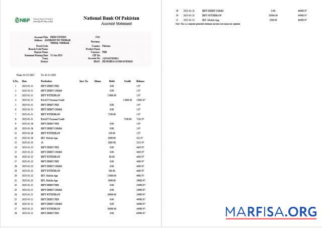 Realistic Pakistan National Bank of Pakistan account statement word 2 pages real example